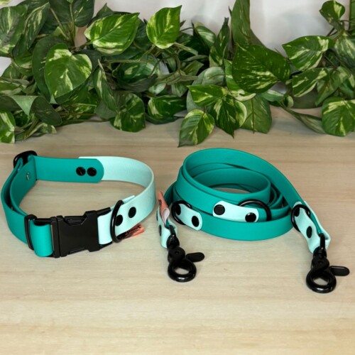 BioThane Hundehalsband "türkis/blaue Emscher" 2