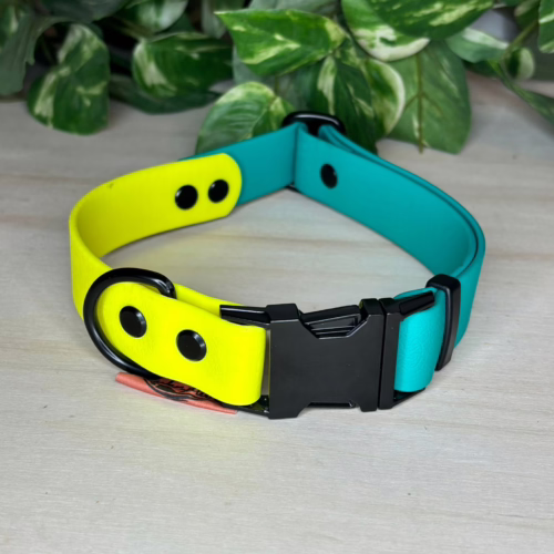 BioThane Halsband in gelb/türkis 13 BioThane Halsband in gelb/türkis 2