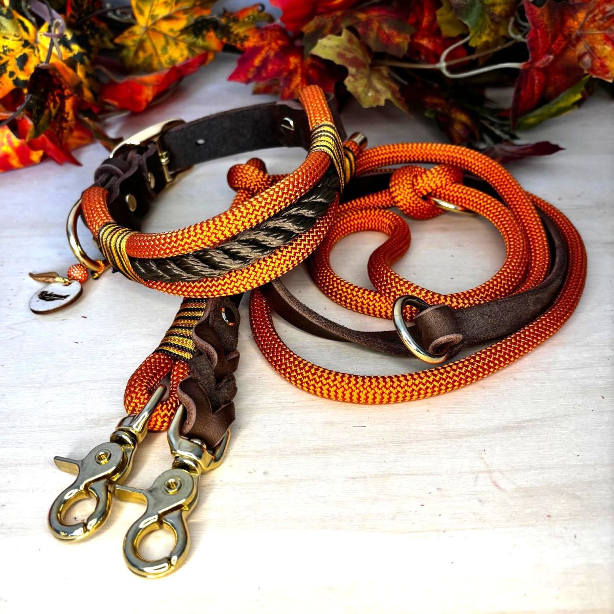 Tau Hundehalsband und Hundeleine als Herbstset in Orange