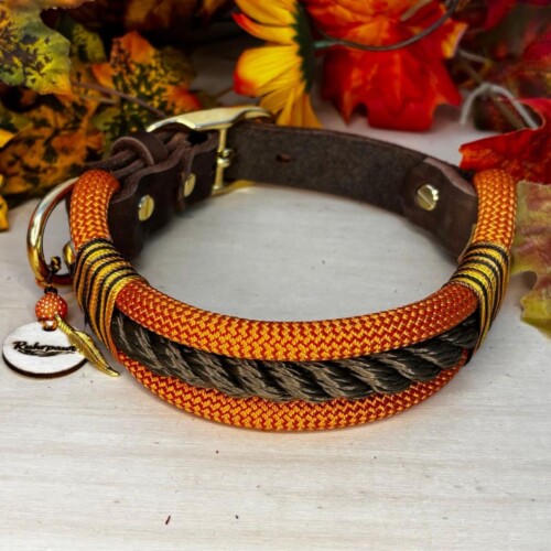 Tau Hundehalsband Herbstedition von Ruhrpawt in herbstlichem Orange