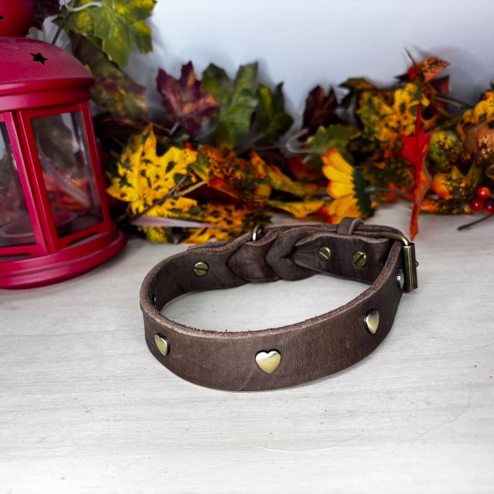Braunes Fettlederhalsband mit Herzchen 1 Hundehalsband aus braunem Fettleder mit Herzchennieten