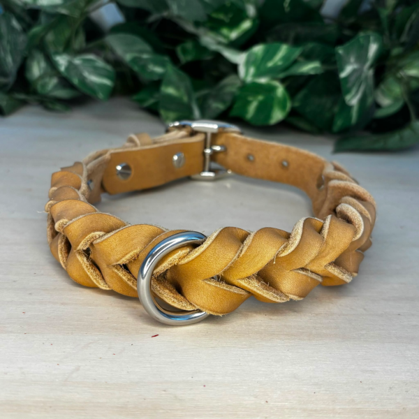 Hundehalsband aus Fettleder von Ruhrpawt