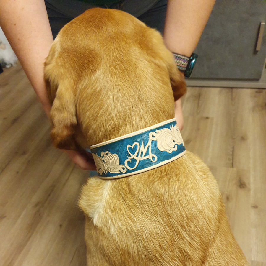 Individuelles Hundehalsband aus Leder, von Hand punziert 3 Handgefertigtes Hundehalsband aus punziertem Leder an einem Hund von Ruhrpawt aus Essen